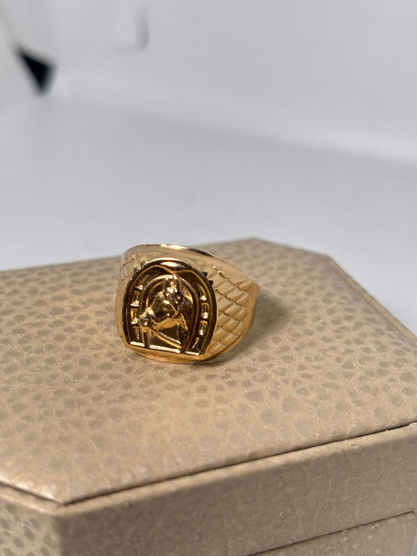 ANILLO CABALLO 3,53GR TALLA 9 NACI ORO 18KT